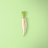 Daikon Radish