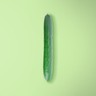 Persian Cucumber