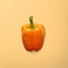 Orange Bell Pepper