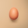 Large Egg