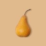 Bosc Pear