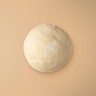 Pizza Dough