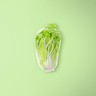 Napa Cabbage