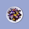 Edible Flowers