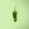 Jalapeño Pepper