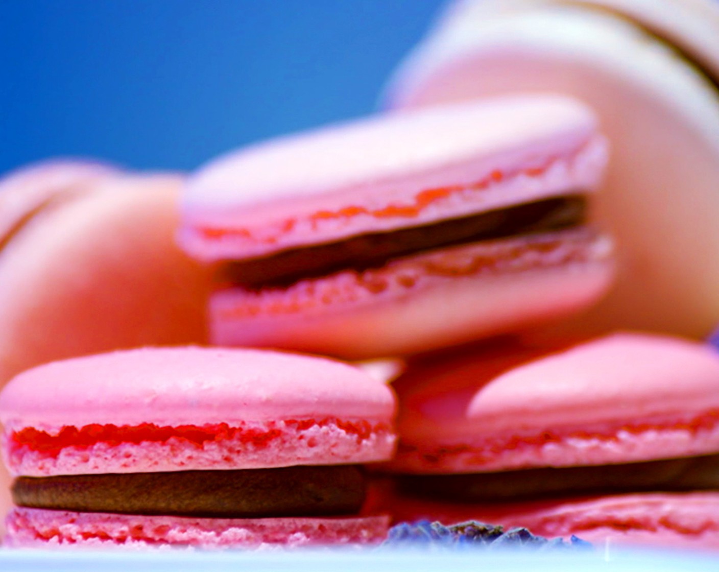 Macaron Cookies